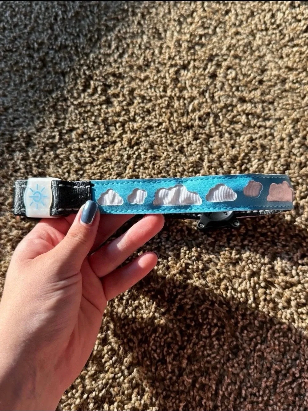 Wonder Family AirTag Dog Collar - Size Medium